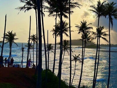 A quiet stretch of Sri Lankan shoreline, framed by palms and shaped by centuries of monsoon winds