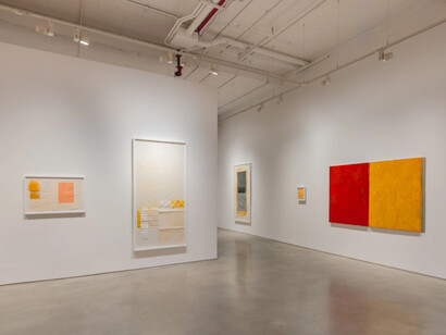 Sergio Sister and Karin Lambrecht, Color clímax, exhibition view. Courtesy of Nara Roesler Gallery