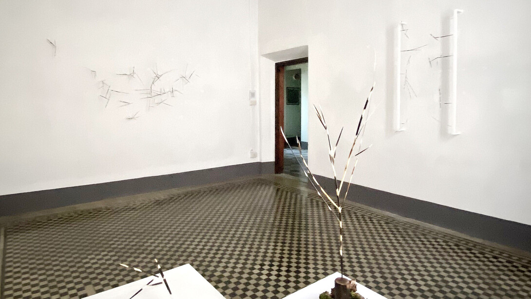 Sara Berola, Spinoza, veduta della mostra. Per gentile concessione di Die Mauer arte contemporanea