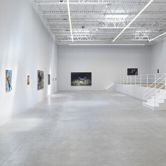 Sam McKinniss, Law and order, exhibition view. Courtesy of Jeffrey Deitch Gallery