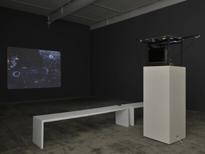 Paul Sietsema, vue de l'exposition. Avec l'aimable autorisation de la galerie Marian Goodman