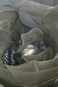 Rosa, particolare scultura 