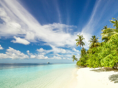 Green trees line the seashore under a clear blue sky in Laamu Atoll, South Central Province, Maldives