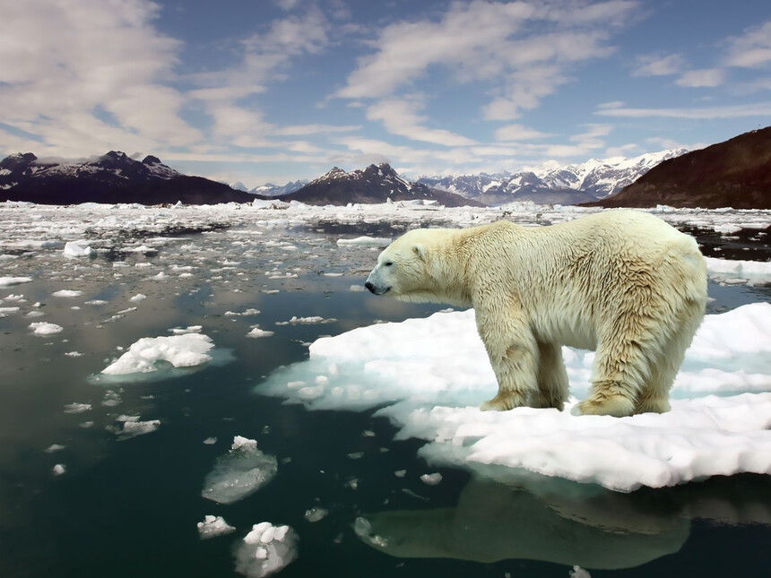 Guns, gold, and glaciers