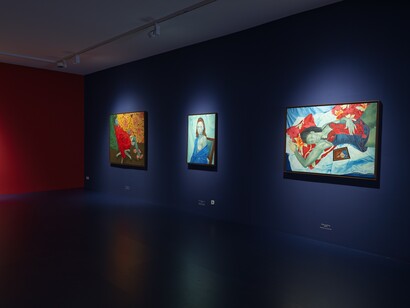 Awanle Ayiboro Hawa Ali, Fine feathers don't make fine birds, exhibition view. Courtesy of OK Linz