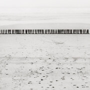 Eleanor Antin: Romans & Kings. Courtesy of Richard Saltoun Gallery