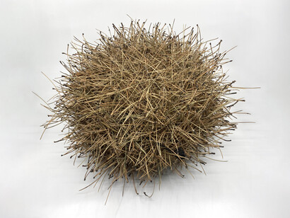 Lois Bielefeld and Marzena Ziejka, Its own pristine devices. Courtesy of Portrait Society