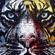 Orticanoodles – Wall Painting at SAM (Street Art Museum), Turin – Italy 2012