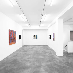 Various artists, In the American grain, exhibition view. Courtesy of Huxley-Parlour Gallery