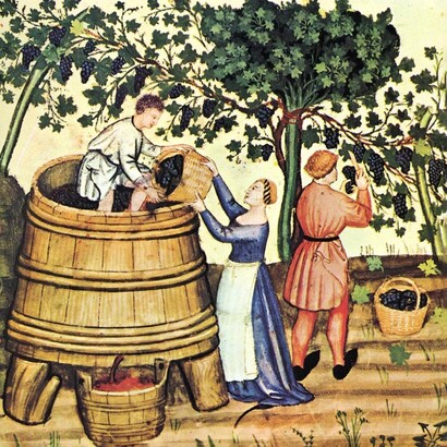 Ilustración incluida en el Tacuinum sanitatis