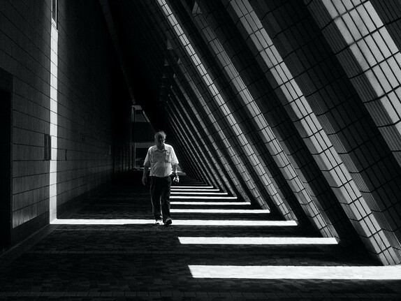 The future of architectural cross-programming | Meer