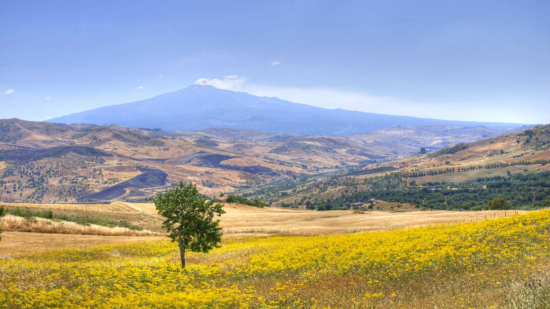 Vista dell'Etna dalle campagne, a giugno