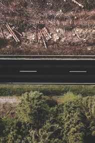 I governi illudono i contadini che la deforestazione venga fatta per il loro bene