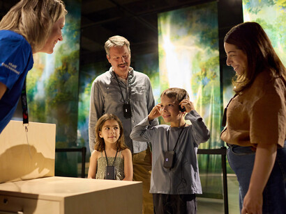 The man who planted trees: an immersive tale, exhibition view. Courtesy of Canadian Museum of Nature