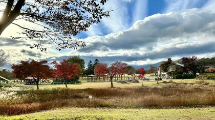Vast meadows of Koiwai Farm © Alma Reyes