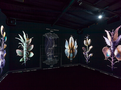 Fuse*: Mimicry, 2025
