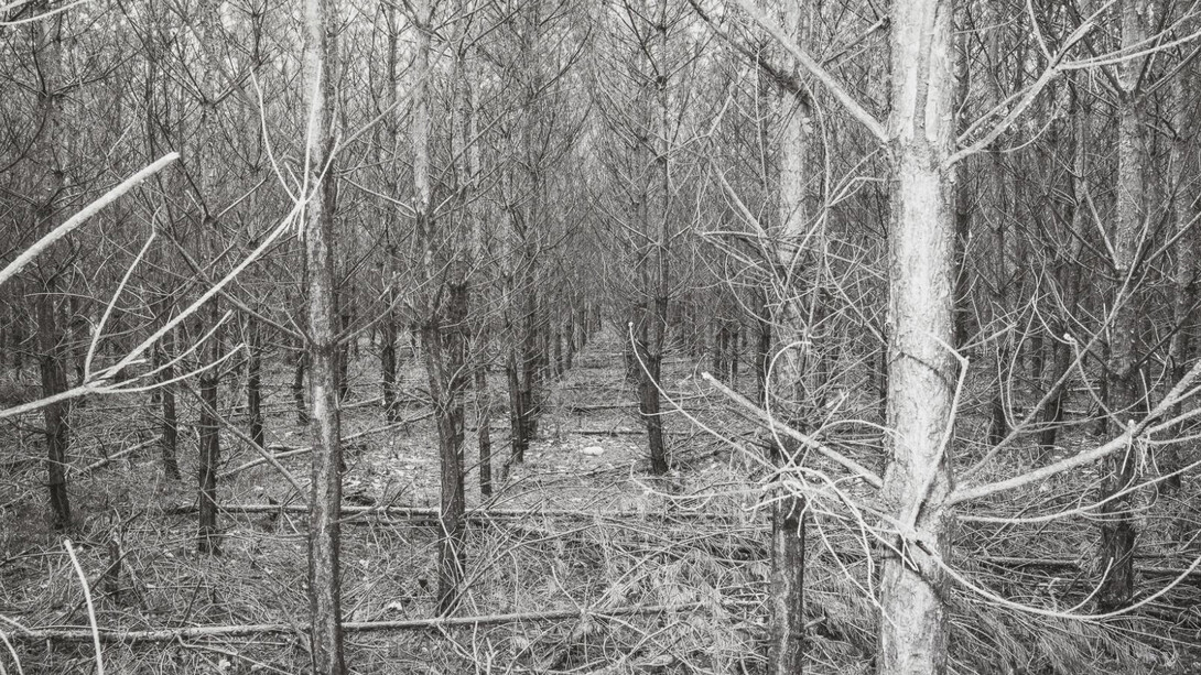 New acquisitions in the art collection of Galeria Bielska BWA. Courtesy of Galeria Bielska BWA