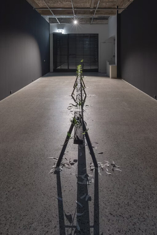 Jenna Lee, Burn before reading, exhibition view. Courtesy of the artist and Gertrude Glasshouse. Photo by Christian Capurro