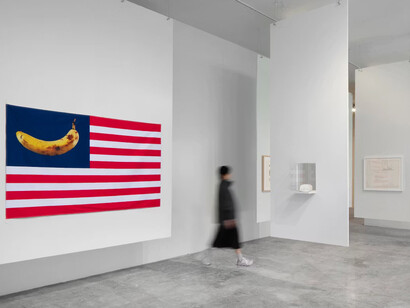 Luis Camnitzer, Una que cubre la palabra que la nombra, exhibition view. Courtesy of Labor Gallery
