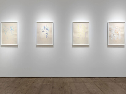 Bianca Raffaella, She cannot fade, exhibition view. Courtesy of Flowers Gallery