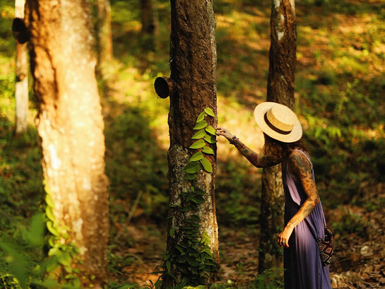 A woman in a blue dress and hat gently picks leaves from a tree, enjoying the calm of the moment