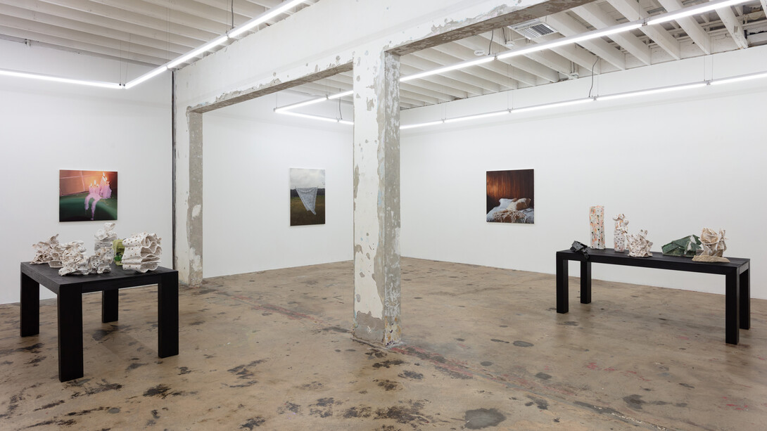 Rob Davis, Lace, exhibition view. Courtesy of Nina Johnson Gallery