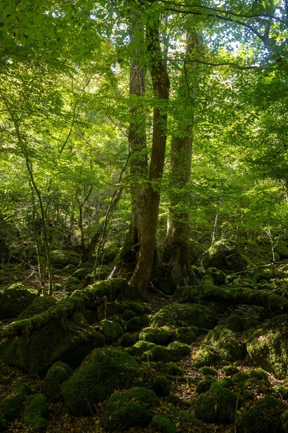 L’obiettivo è ridurre al minimo l’impatto ambientale e garantire edifici salubri, antisismici e a emissioni quasi zero