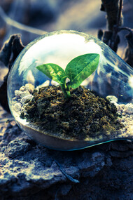 La crisis climática y medioambiental hace peligrar a la humanidad