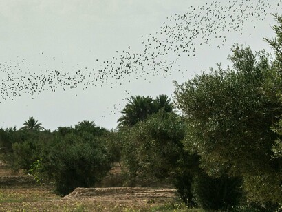 Their flight is not an ending, but a path back to somewhere waiting