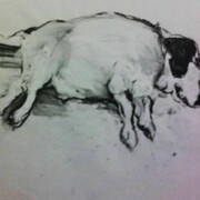 Varlin, Tote zita, 1973, Gouache e carboncino su carta, 48,2 x 66 cm