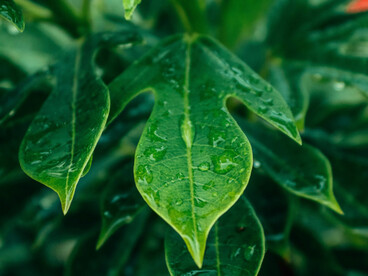 Goutte après goutte, le mouvement se fait lent mais continu : une métaphore de la transformation, où chaque geste compte dans la transition écologique