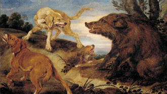 La casa, con il suo cortile brulicante di parenti, cani e galline, diventa uno spazio senza confini dove il vivere insieme è rumoroso, fisico e impossibile da ignorare. De Vos Paul, Caccia al cinghiale selvatico, 1630-1672 circa. Galleria Sabauda, Torino, Italia 