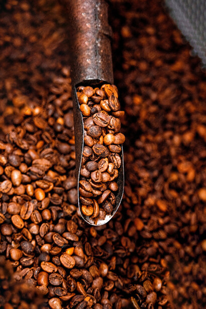 El intercambio académico de Estefanía se convirtió en un puente entre el origen rural y un futuro posible de innovación