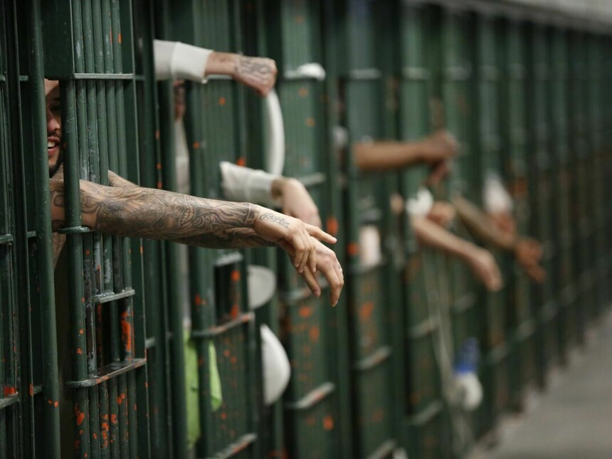 The cost of crime Meer