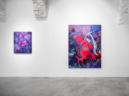 Tereza Tomanová, Vaulting, exhibition view. Courtesy of Karpuchina Gallery