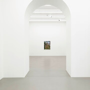 Torbjørn Rødland, Slow life strategies, ausstellungsansicht. Mit freundlicher genehmigung der Galerie Eva Presenhuber