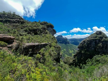 O projeto vem justamente para oferecer esse suporte que a arte em si promove, inspirando novos movimentos para a vida, e aprendizados para a reconexão com o corpo, a estima, a confiança em si, e  contato autêntico com os elementos da natureza, além de toda potência que a Dança tem, de escrever com o corpo o que linguagem alguma é capaz de traduzir em palavras, é uma eficiente ferramenta, capaz de remover bloqueios, descobrir sentidos, libertar amarras, devolver a criatividade, fortalecer os sistemas corporais, esvaziar a mente, são muitos os atributos da dança que favorecem ao restabelecimento físico e espiritual, da saúde e bem estar das  mulheres 50 +