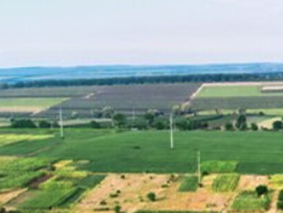 La conquista del mundo de la materia y la energía dio paso a la conquista del mundo de la información: la vida como código (ADN), la automatización del razonamiento lógico, la computación masiva de datos…