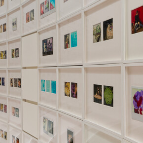 Araki Nobuyoshi, Polaraki, vue d'exposition. Avec l'aimable autorisation du Musée Guimet