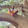 Karandeep Arora
