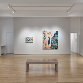 Tim Braden, I can see all the colours now, exhibition view. Courtesy of Frestonian Gallery 