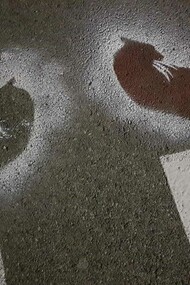 Viviamo in bilico tra un minimo passo in avanti e un bollettino nefasto