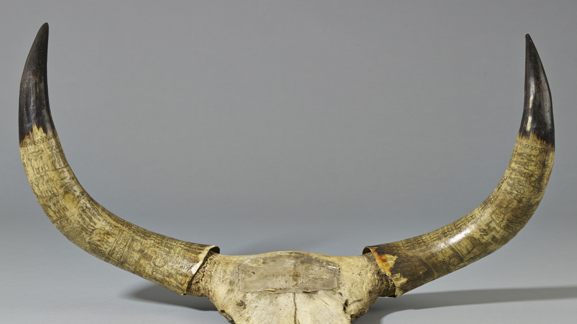 South Africa the art of a nation Meer