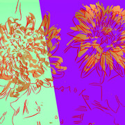 Andy Warhol, Kiku, Screen print on paper cm 27,9x20,6 c.a..1983-84