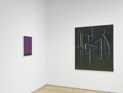 Wanda Koop, Magnetic field, exhibition view. Courtesy of the artist and Night Gallery, Los Angeles. Photography by Lance Brewer
