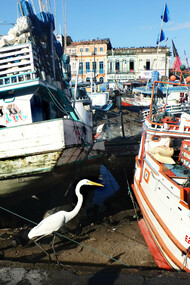 Flota de barcos de pesca varados en el puerto del mercado de Belém do Pará. Boca del Amazonas, Brasil. Foto de Karen Brewer
