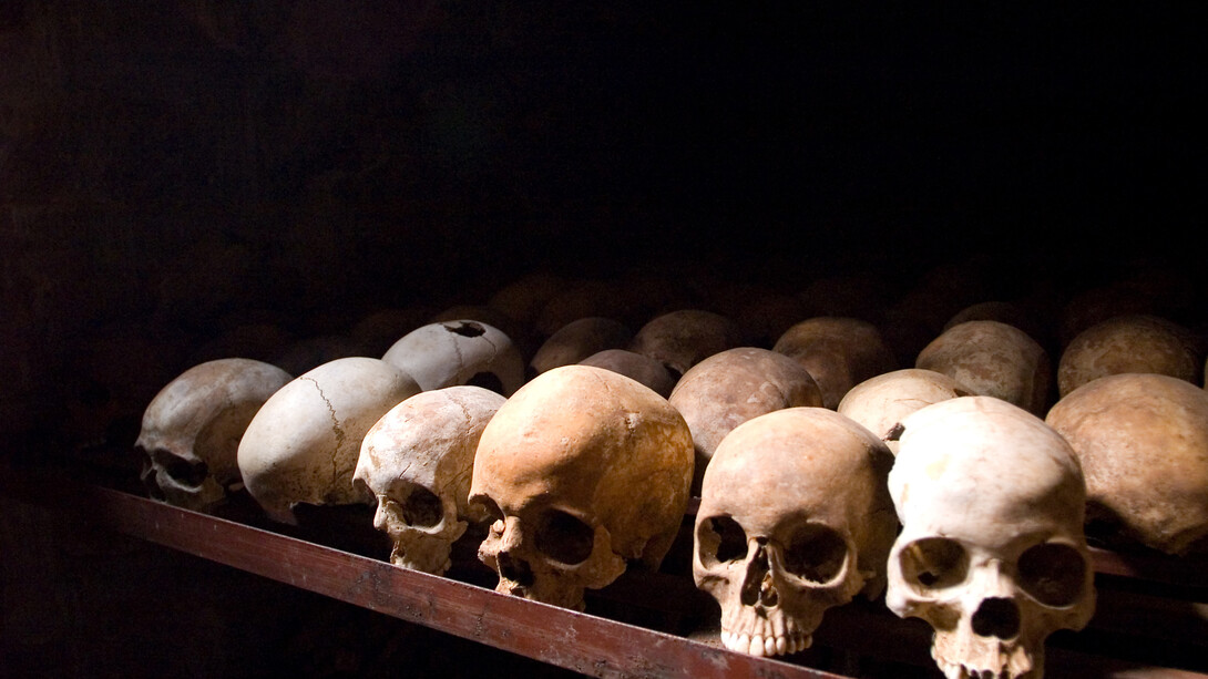 A collection of human skulls. This is part of a museum exhibit in Rwanda about the country's genocide