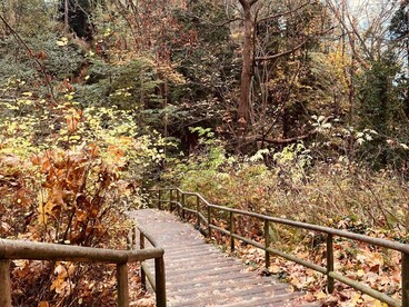 Stairway leading down to Wreck Beach, Vancouver, Canada