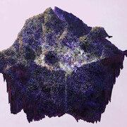 Aljoscha, p-landscape #29, oil on canvas, 2017 100 x 120 cm © The Artist. Courtesy of Beck & Eggeling International Fine Art | Düsseldorf | Vienna