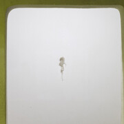 Yuji Agematsu. Courtesy of Lulu